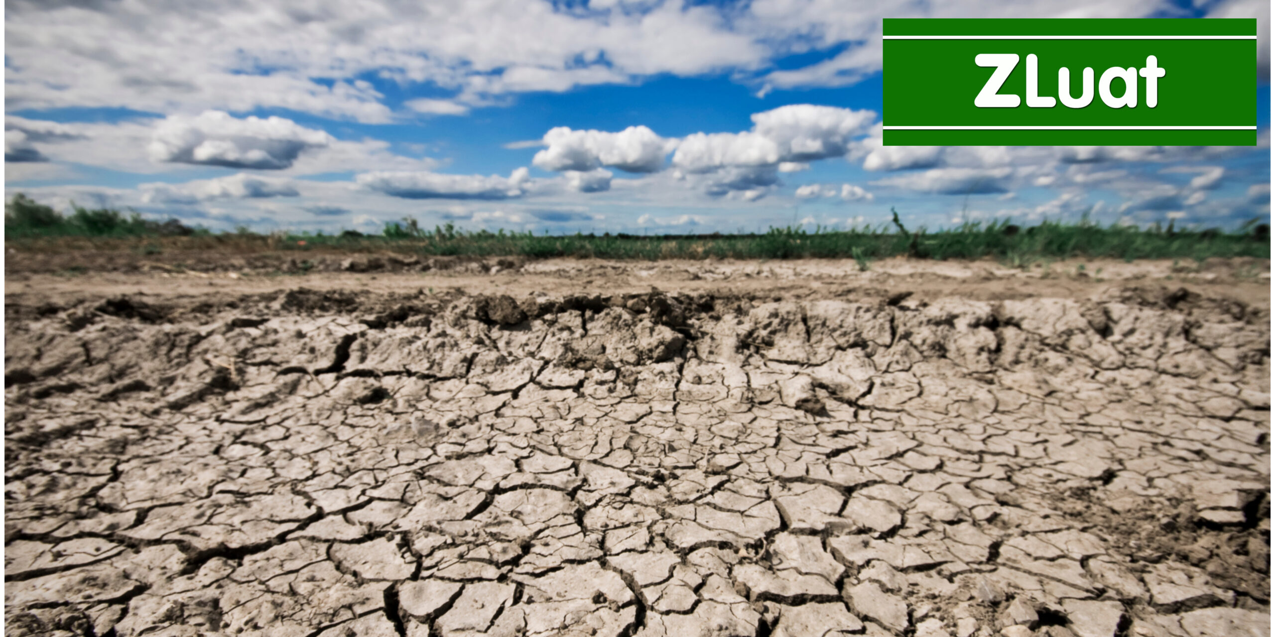 [DICHVUGIAIQUYETTRANHCHAPLIENQUANDENDATDAI] – Trọn gói hỗ trợ chuyên sâu giải quyết những tranh chấp phát sinh liên quan đến quyền sử dụng đất, tài sản gắn liền với quyền sử dụng đất ở Tân Xuân, Ba Tri, Bến Tre<br><br> - Ảnh 2